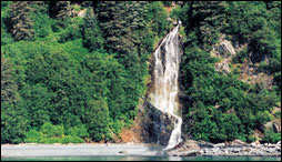 Business Cards waterfall