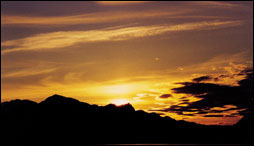 Full Color Business Cards Sunset Photo