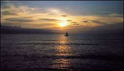Business Cards Sea Photo